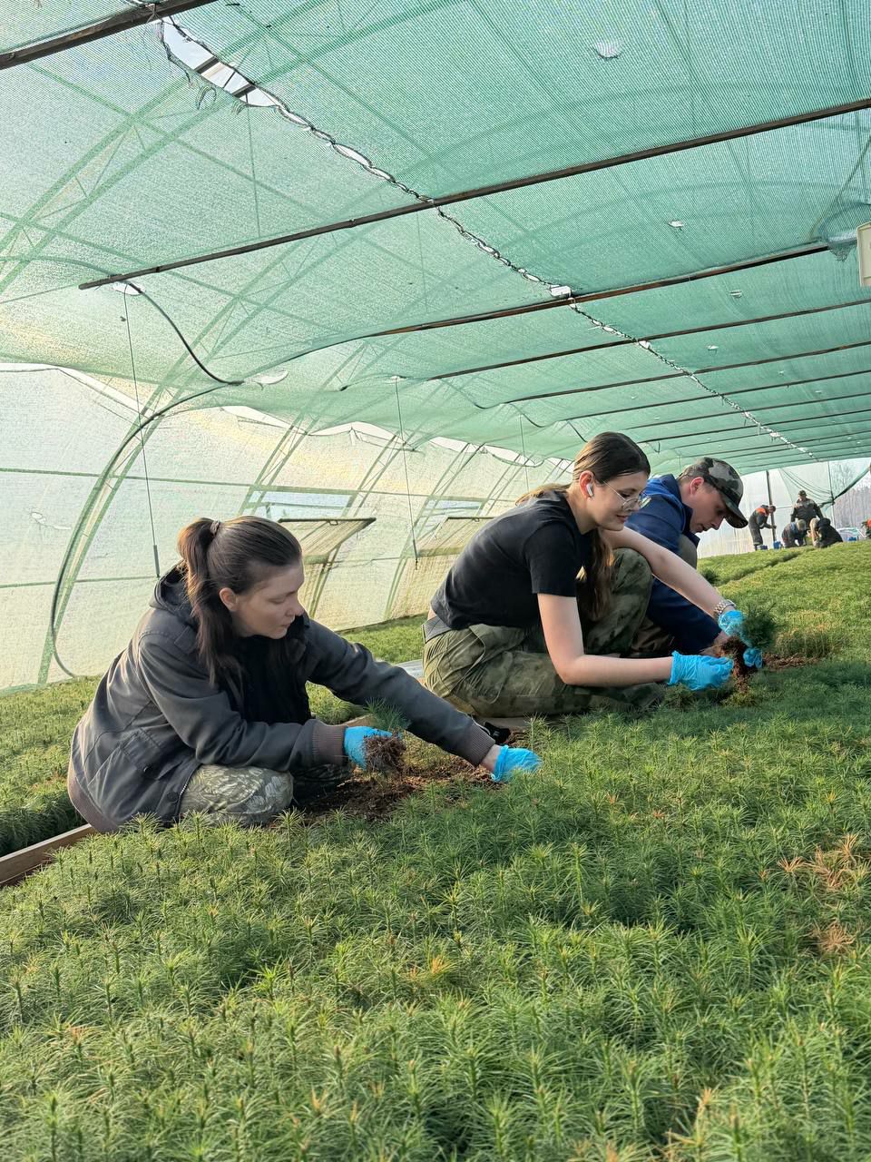 photo 2026 03 28 15 53 24