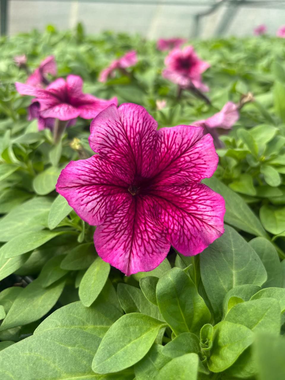 photo 2026 04 02 09 06 57