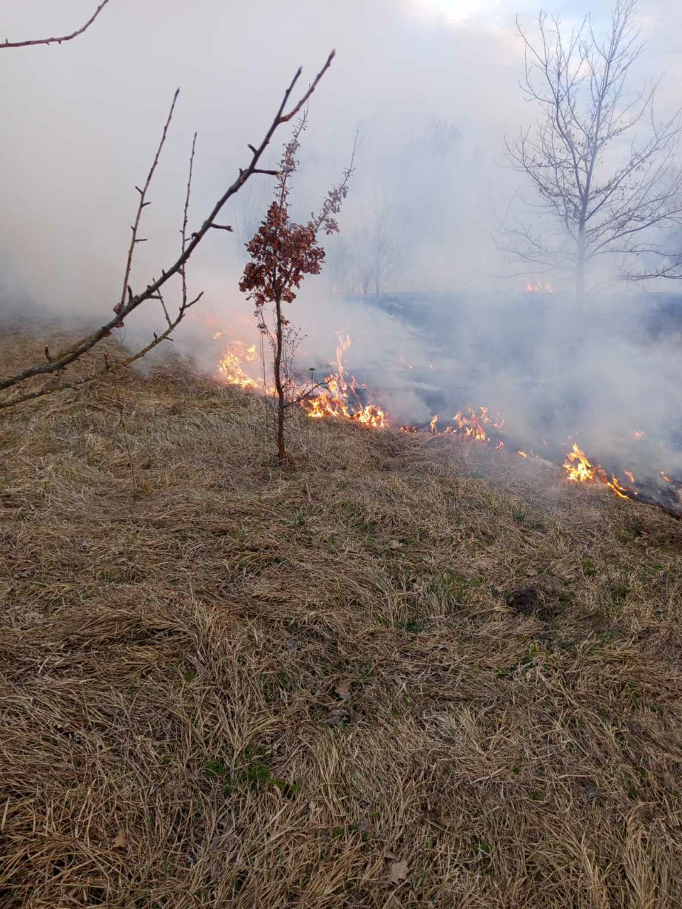 photo 2026 04 07 13 57 21