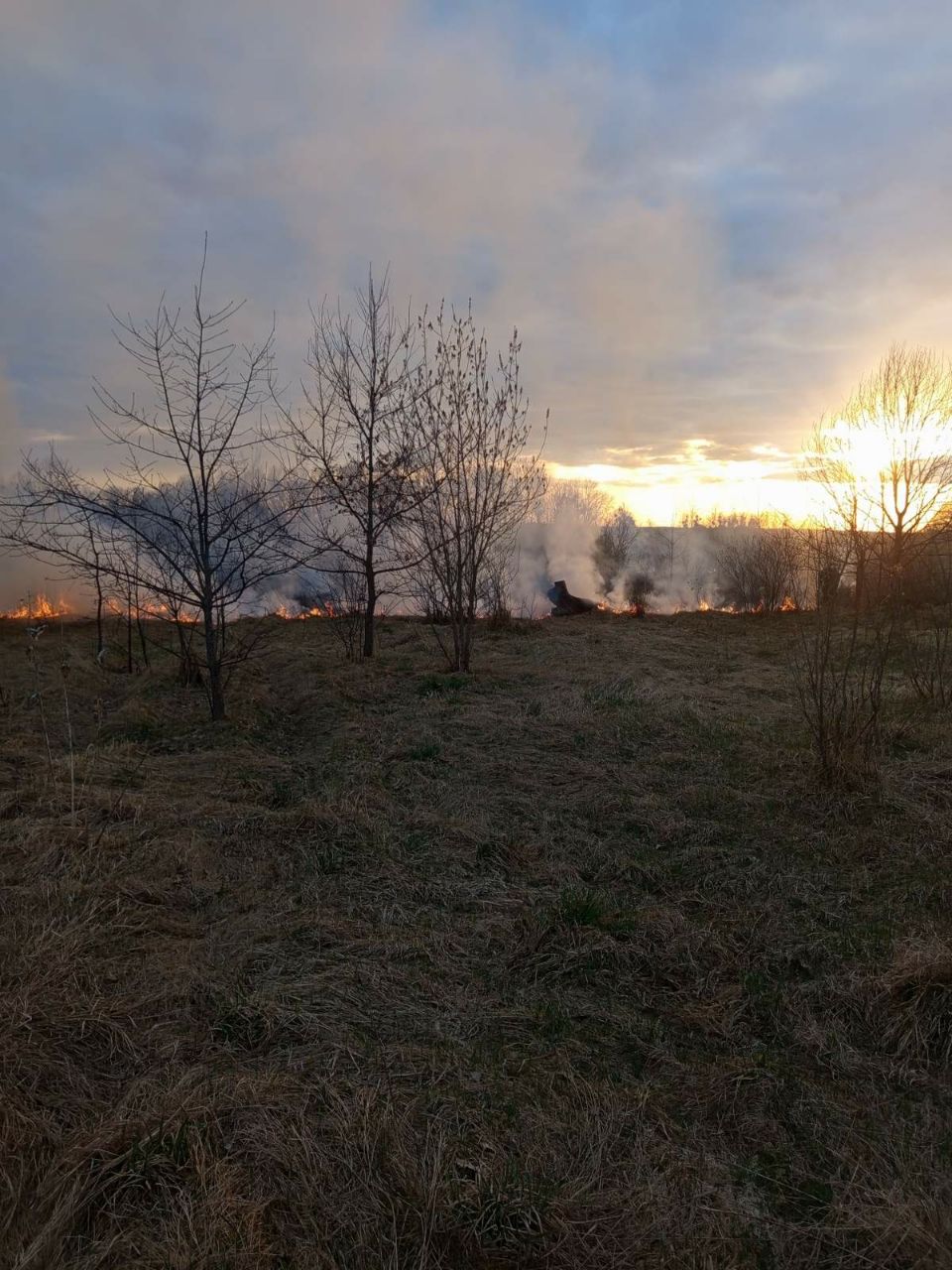 photo 2026 04 07 13 57 26