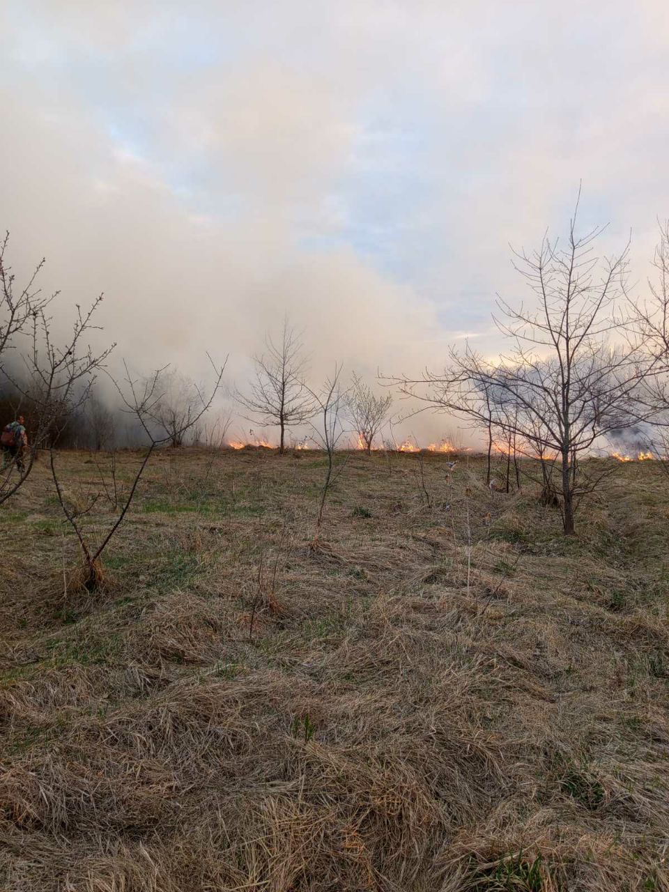 photo 2026 04 07 13 57 29