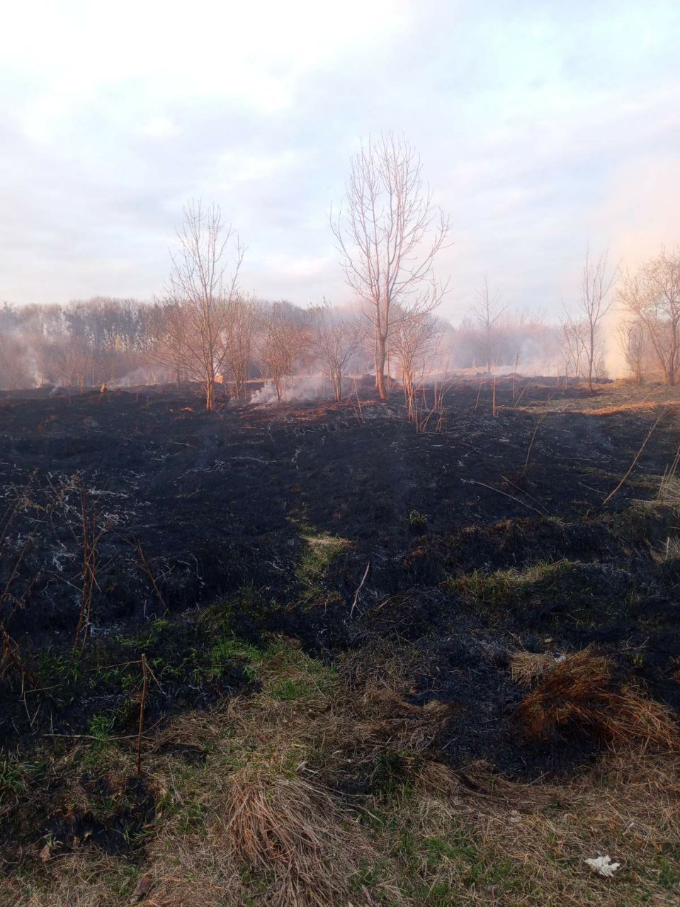 photo 2026 04 07 13 57 33