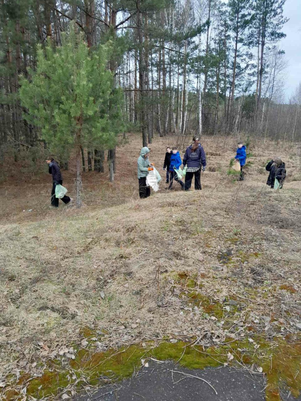 photo 2026 04 09 17 46 54