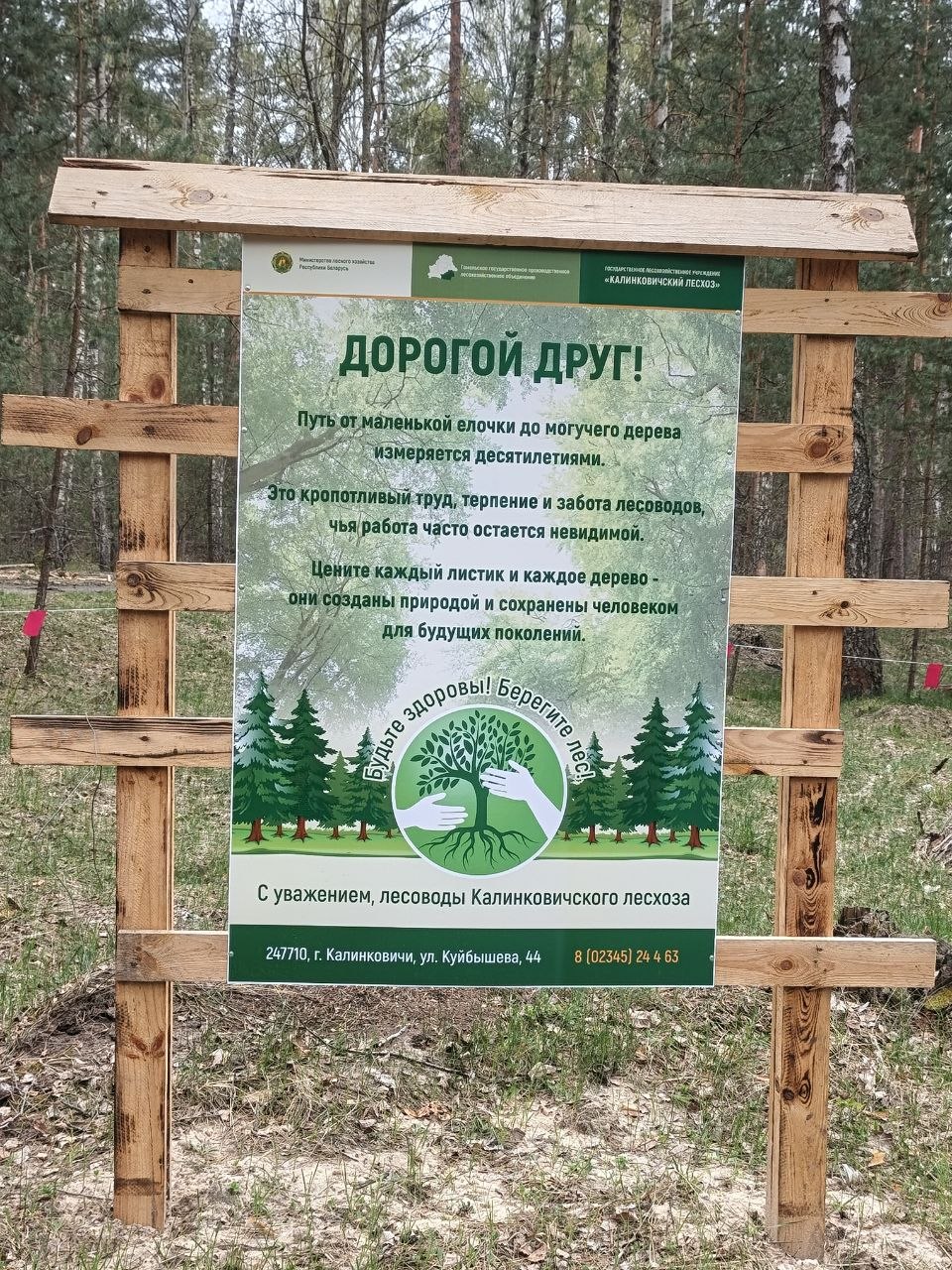 photo 2026 04 17 15 56 11