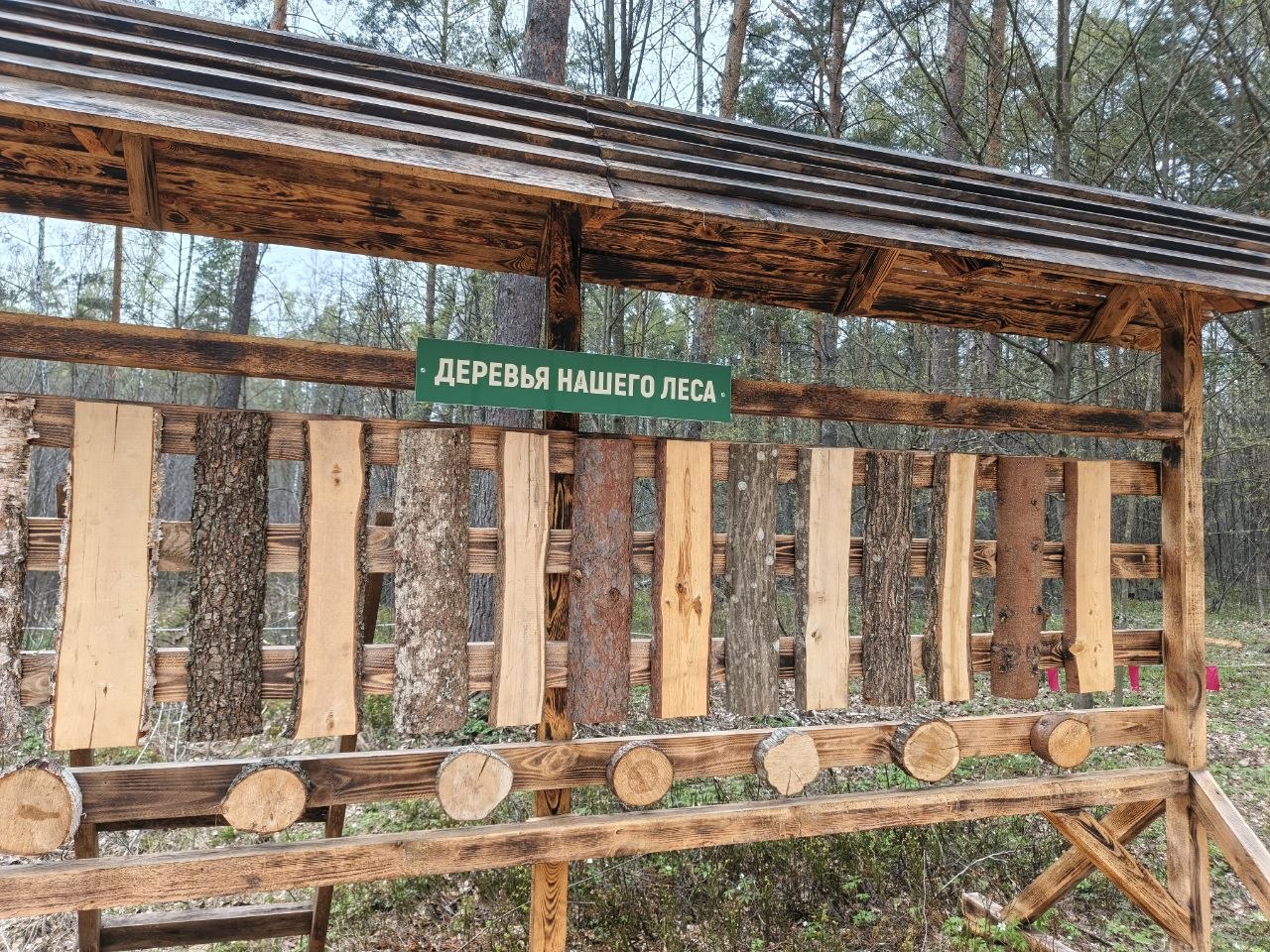 photo 2026 04 17 15 56 59