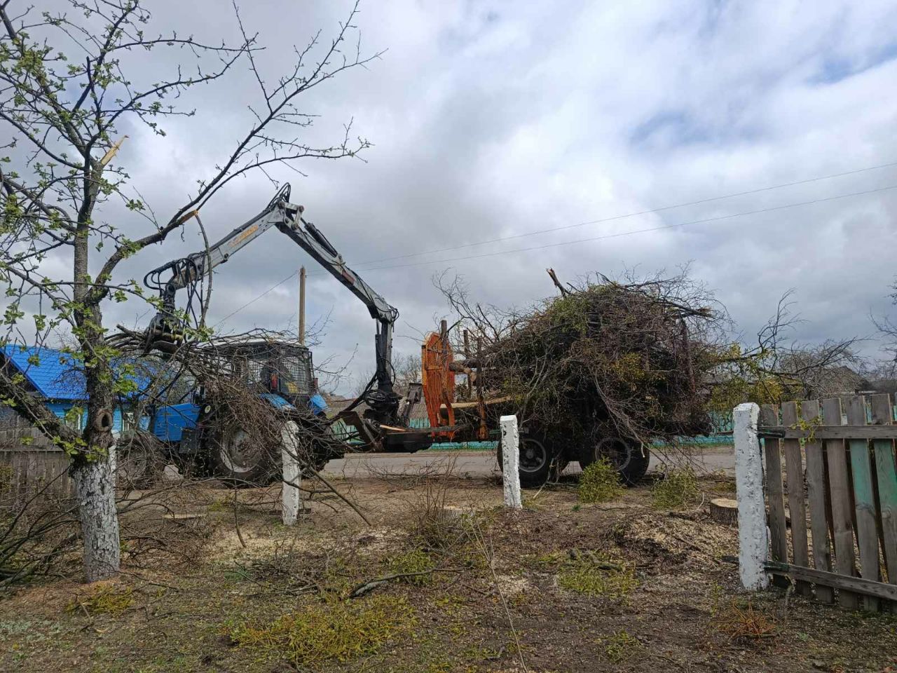 photo 2026 04 20 09 18 46