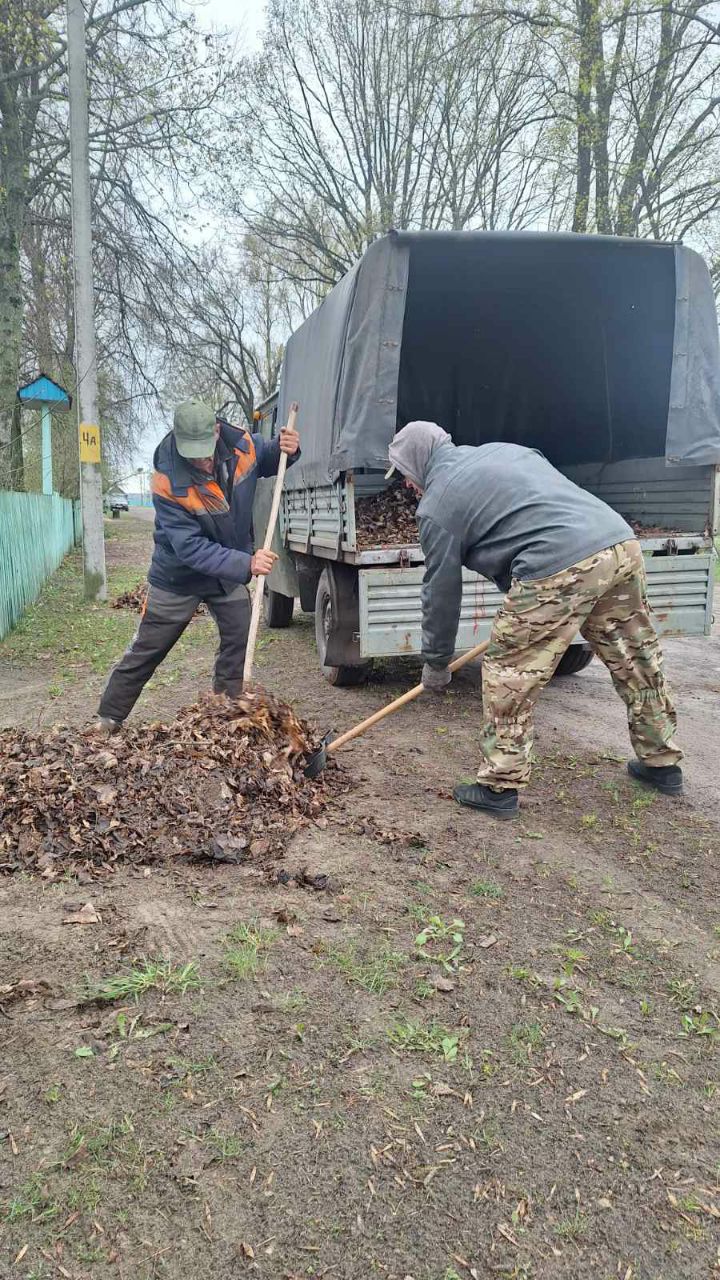 photo 2026 04 20 09 18 58