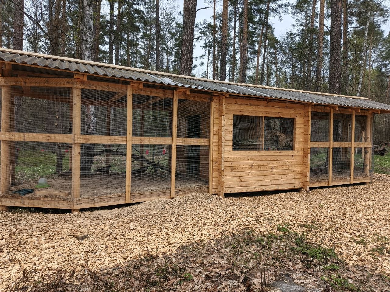 photo 2026 04 20 12 58 49