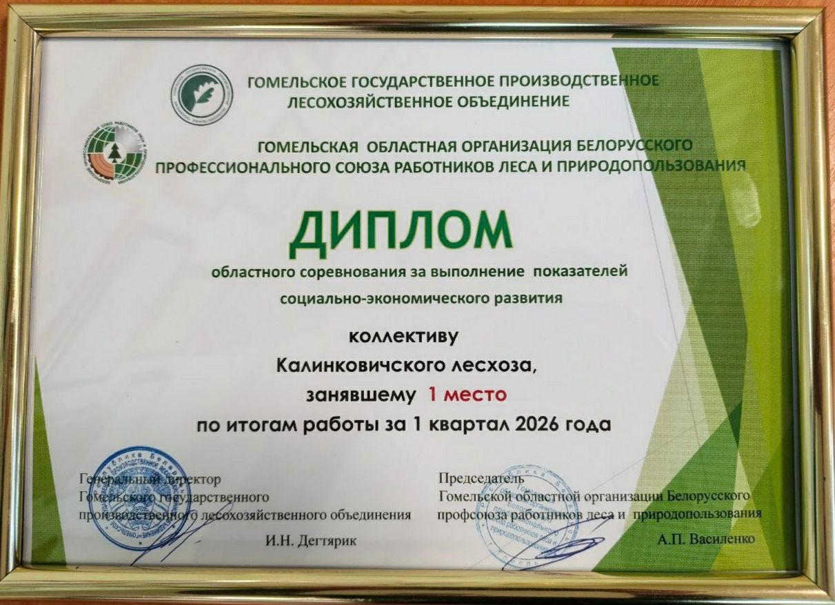 photo 2026 04 25 08 08 50