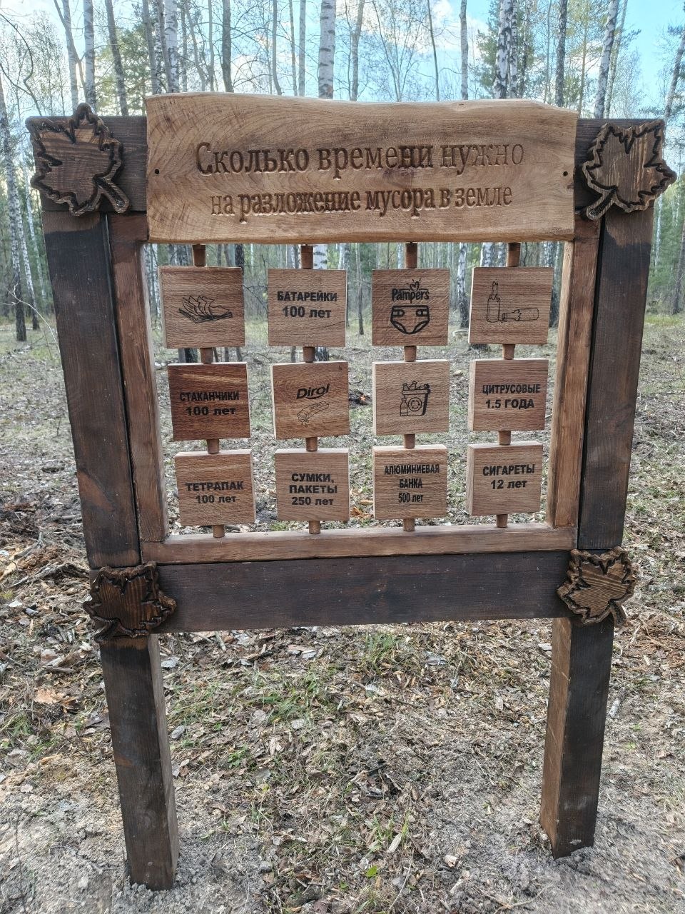 photo 2026 04 27 10 05 40