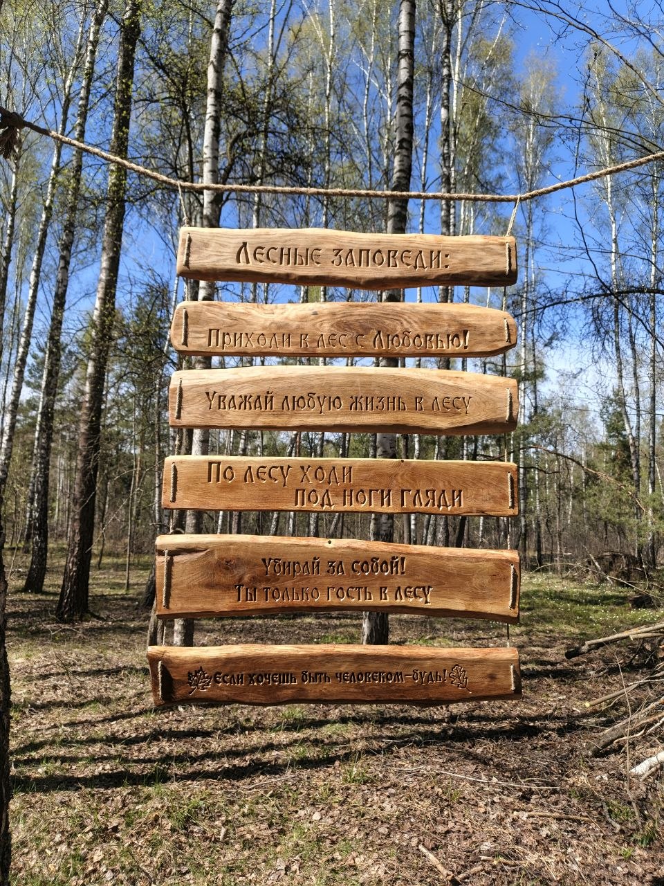 photo 2026 04 27 10 05 53