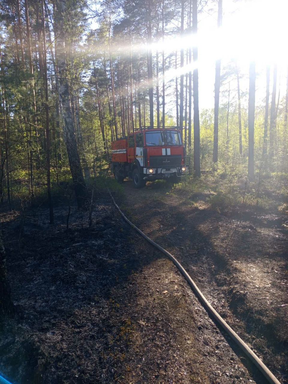 photo 2026 05 08 11 25 51