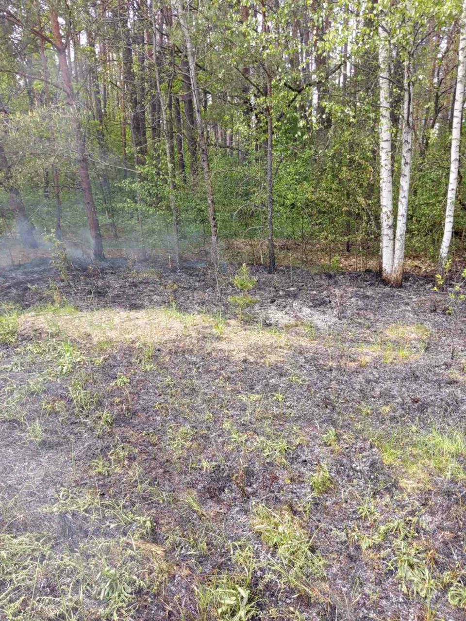 photo 2026 05 25 08 24 36