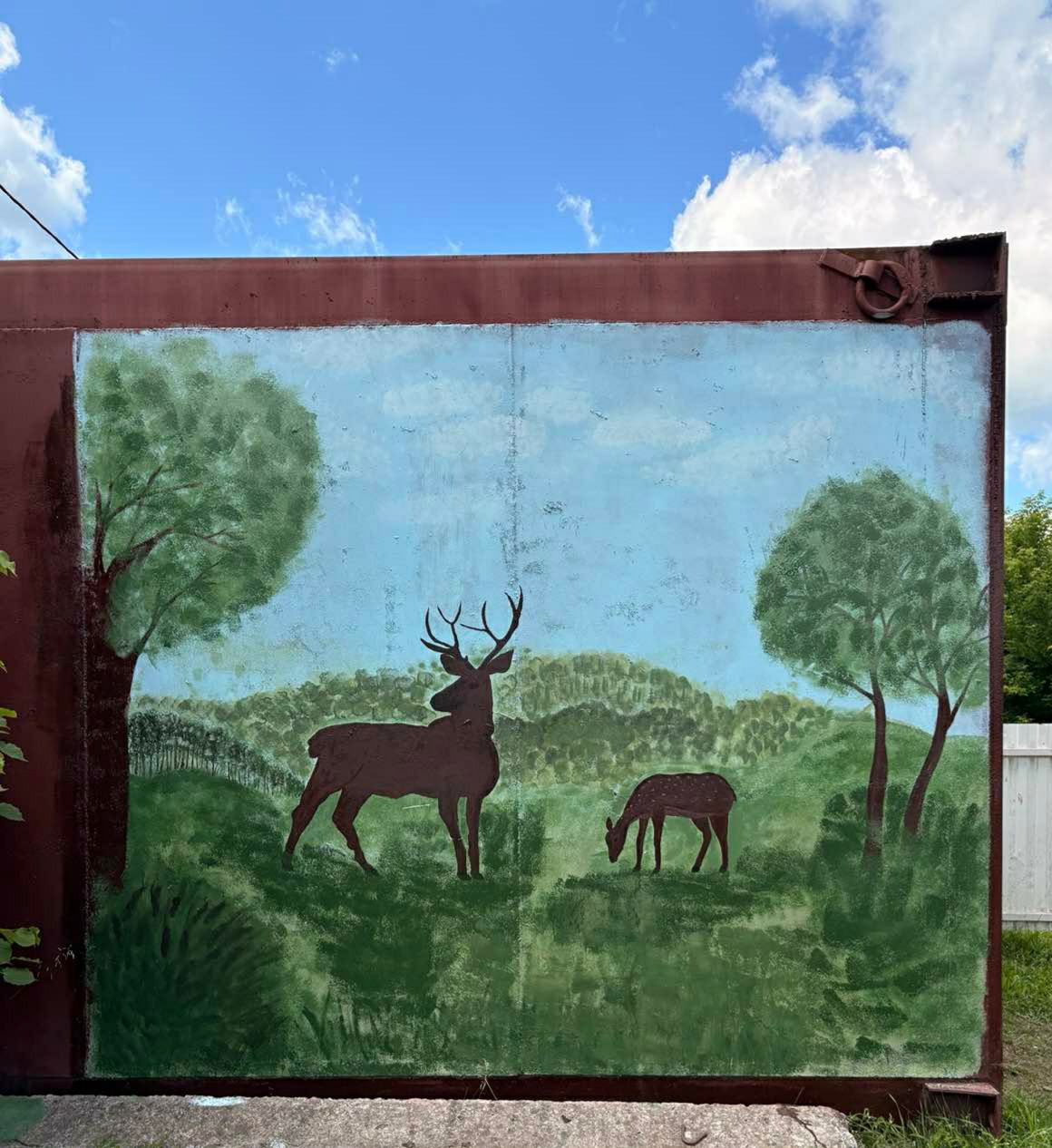 photo 2026 06 19 11 56 46