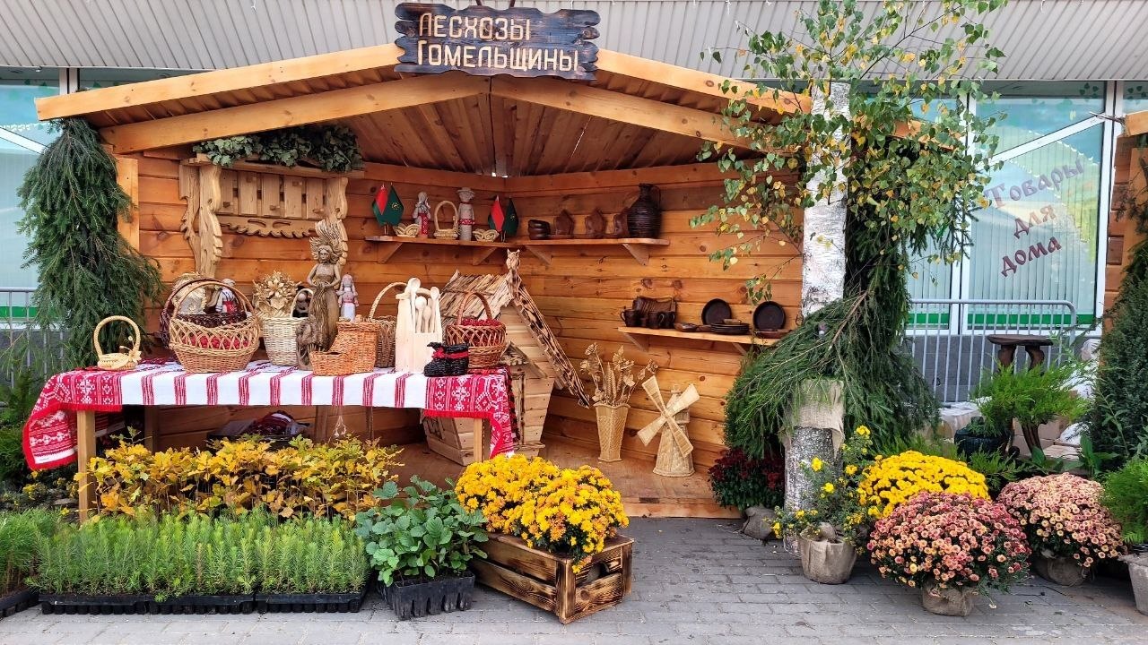 photo 2026 10 14 09 45 28