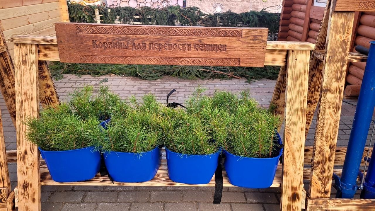 photo 2026 10 14 09 45 49