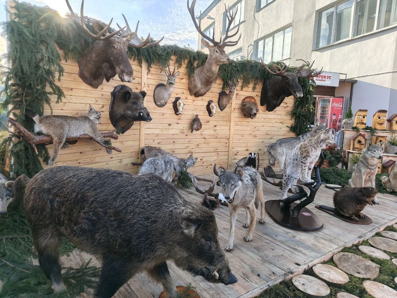 photo 2026 10 14 10 02 34