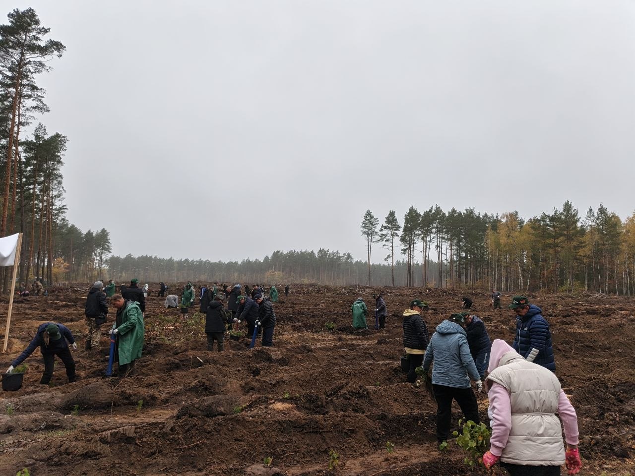 photo 2026 10 19 13 26 46