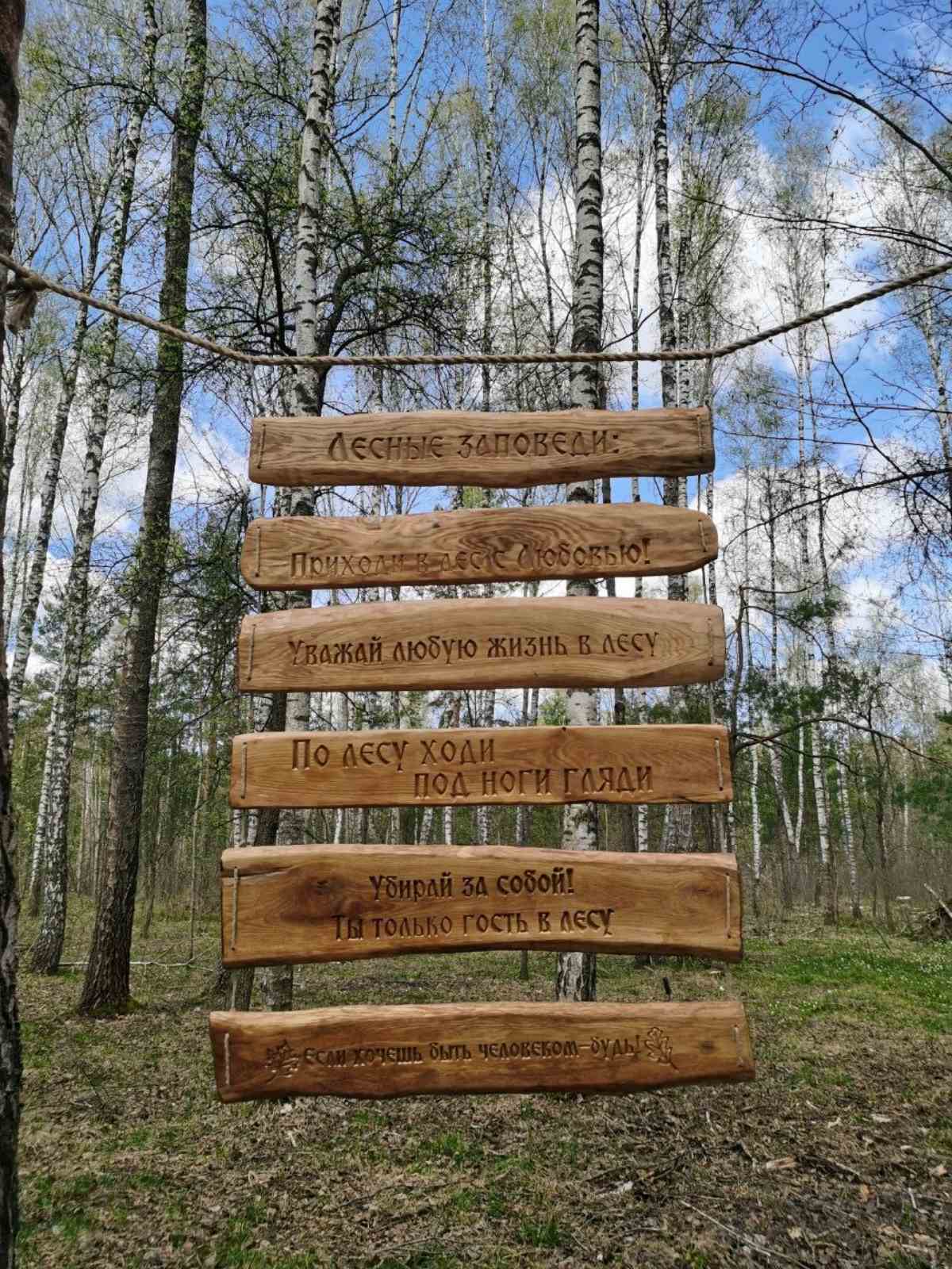 изображение viber 2026 04 24 17 51 58 667