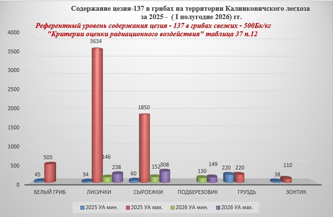 грибы.png