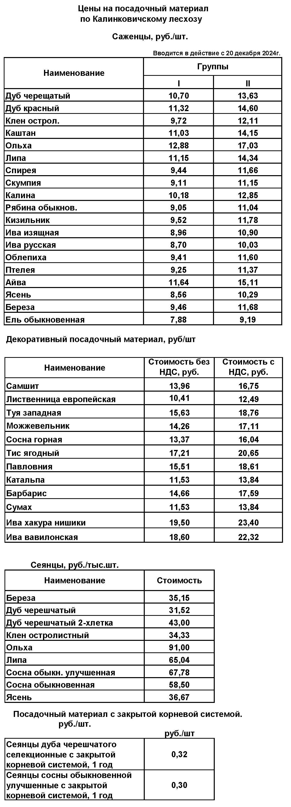 Саженцы1