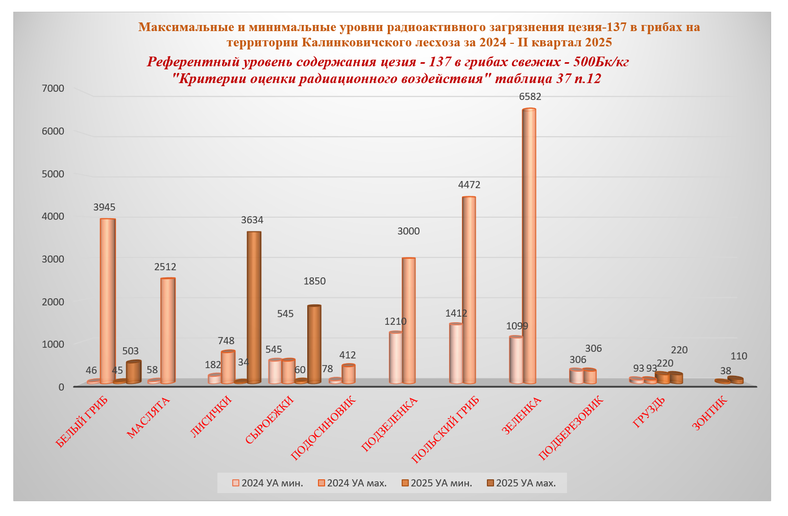 грибы.png